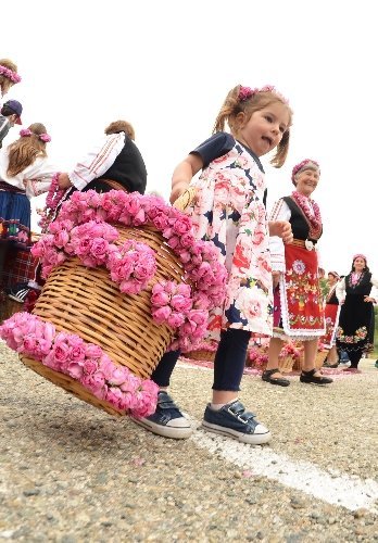 Gül Vadisi'nde gül festivali