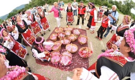 Gül Vadisi'nde gül festivali