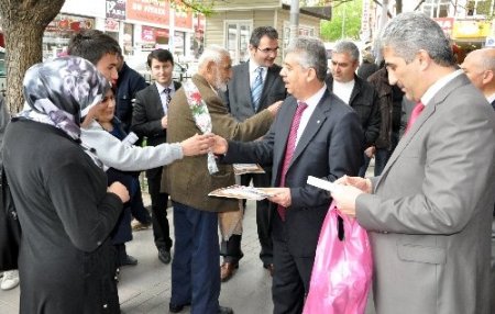 Güllerin Efendisi için gül dağıttılar