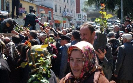Güllerin Efendisi (sas) Adına Gül Fidanı Dağıtıldı