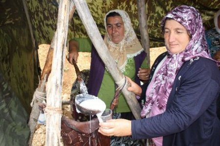 Gülnar Kaymakamı Daldal: Gezende Eriğinin Marka Olması İçin Çalışmalarımız Sürüyor