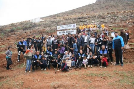 Gülnar'da yanık sahalar ağaçlandırılıyor