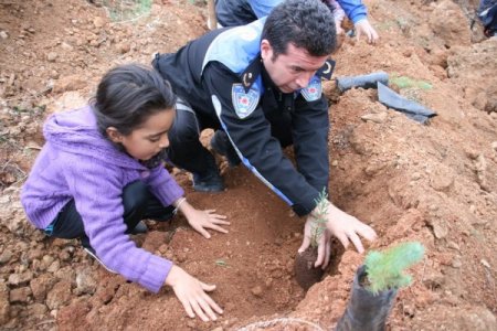 Gülnar'da yanık sahalar ağaçlandırılıyor