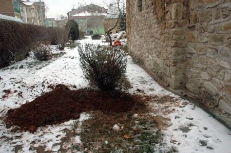 Gün Ortasında Şehrin Göbeğinde Define Kazısı Yaptı, Polis Yakaladı