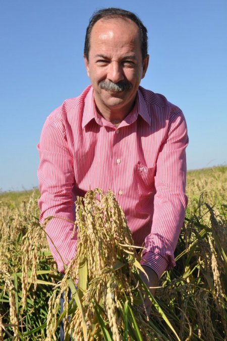 Günaydın: 'Çeltik üreticisi TMO'nun fiyat açıklamaması nedeniyle kaygılı'