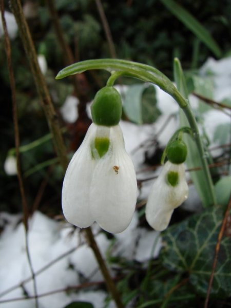 Gündoğmuş ve İbradı, MATAB'la alternatif turizmde dünyaya açılacak