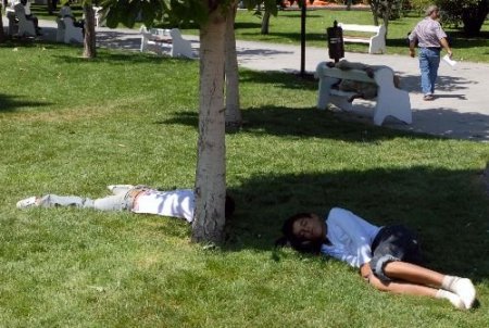 Gündüz Uykusu, Açlıktan Metabolizmanın Daha Az Etkilenmesine Yardımcı Oluyor