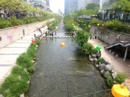 Güney Kore, Buda’nın doğum haftasını kutluyor