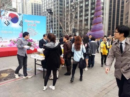 Güney Kore'de bir günde yarım milyon ağaç dikildi