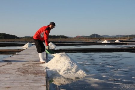 Güney Kore’de ‘tuz turizmi’ (Özel)