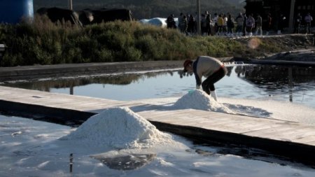 Güney Kore’de ‘tuz turizmi’ (Özel)