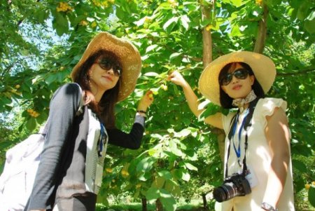 Güney Koreliler İçin Türkiye En Fazla Görülmek İstenen 7’nci Ülke