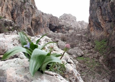 Güneydoğu dağları baharda bir başka güzel