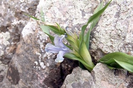Güneydoğu dağları baharda bir başka güzel