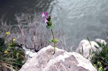 Güneydoğu dağları baharda bir başka güzel