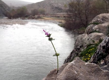Güneydoğu dağları baharda bir başka güzel