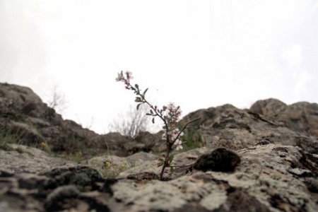 Güneydoğu dağları baharda bir başka güzel