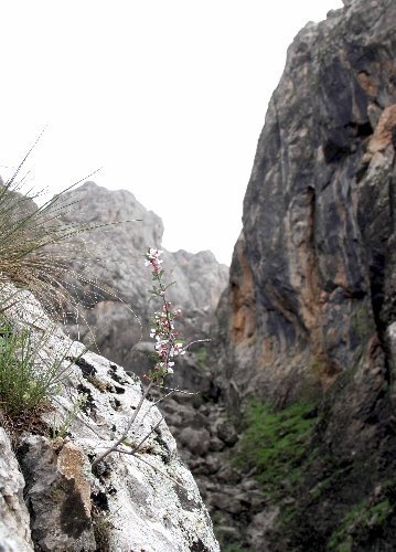 Güneydoğu dağları baharda bir başka güzel