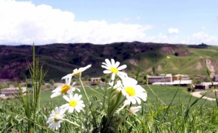 Güneydoğu dağları baharda bir başka güzel