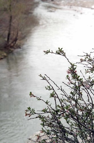 Güneydoğu dağları baharda bir başka güzel