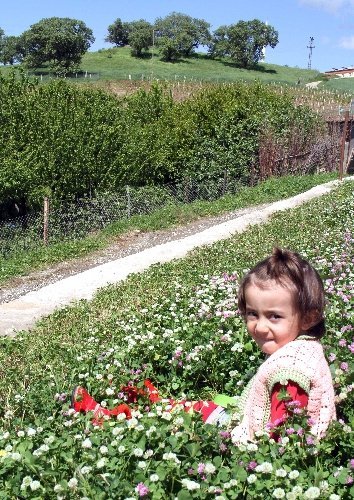 Güneydoğu dağları baharda bir başka güzel