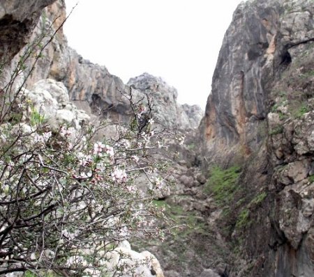 Güneydoğu dağları baharda bir başka güzel