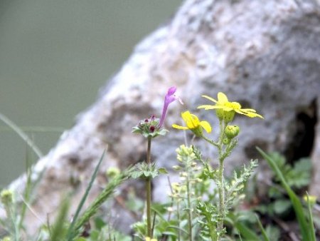 Güneydoğu dağları baharda bir başka güzel