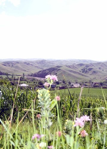 Güneydoğu dağları baharda bir başka güzel