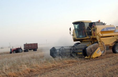 Güneydoğu'da Hasat Mevsimi Başladı