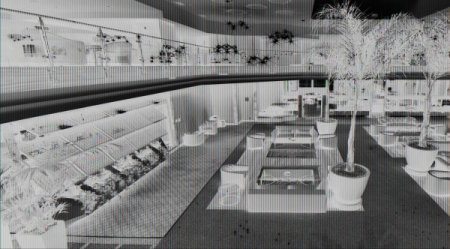 Güneydoğu’nun Tek Yeşil Yıldızlı Oteli Hizmet Kapasitesini Artırdı