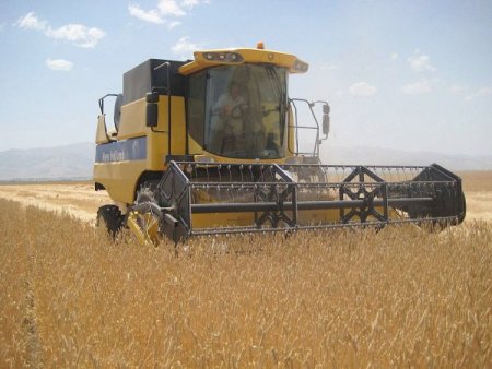 Güroymak’ta 16 çiftçiye destek sağlandı