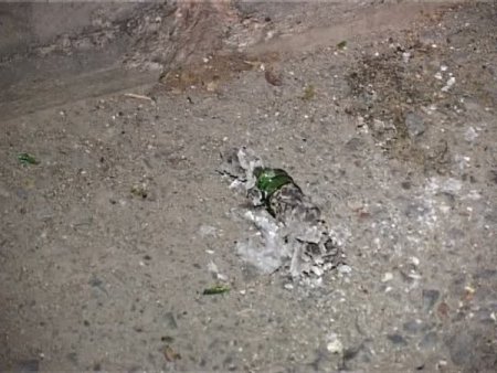 Gürültü Yapmayın Diye Uyaran Şahsa Molotof Attılar