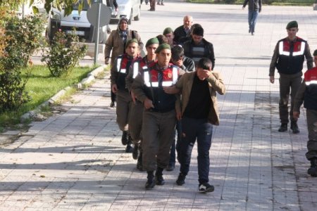 Güvercin hırsızları suçüstü yakalandı