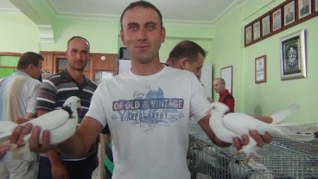 Güvercin sevdalıları Edremit’te bir araya geldi