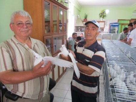 Güvercin sevdalıları Edremit’te bir araya geldi