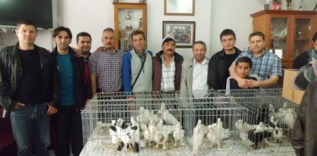 Güvercin Tutkunları Edremit'te Buluştu