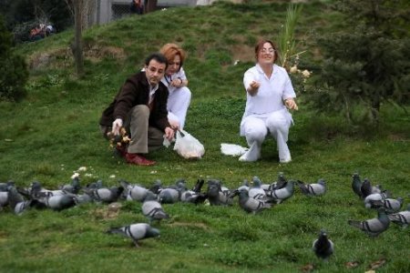 Güvercinler İçin Sağlıklı Beslenme Zamanı