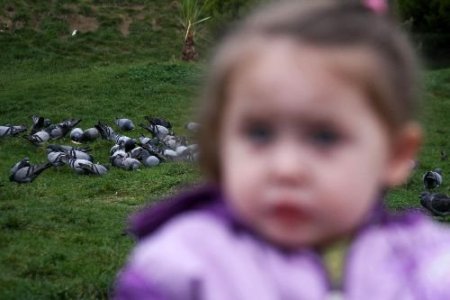 Güvercinler İçin Sağlıklı Beslenme Zamanı