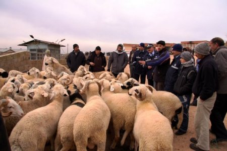 Güzelbey: Huzurlu bir bayram için gerekli tüm tedbirleri aldık