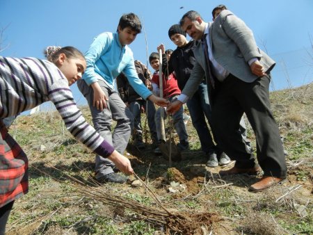 Güzide Hanım Koleji, kardeş okul Kazım Karabekir İlkokulu ile ağaç dikti