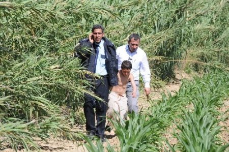 Haberciliği bırakıp, can kurtardı