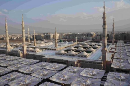 Hacılar Mescid-i Nebevi’yi ziyaret edip Türkiye’ye dönüyor