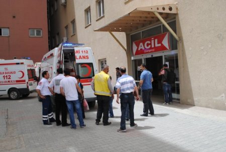 Hakkari Edaş Müdürü'nü Yılan Isırdı