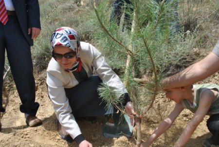 Hakkari’de Öğrenciler Fidan Dikti
