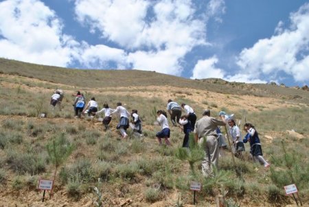 Hakkari’de Öğrenciler Fidan Dikti