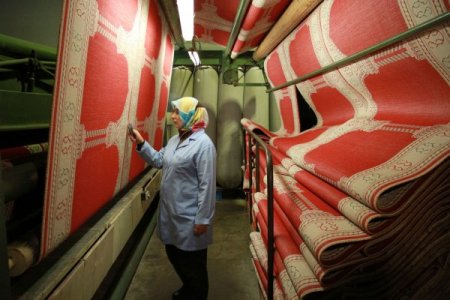 Halıcılığı öğrendiği Belçika'da krala halı satıyor