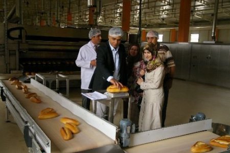 Halk Ekmek: Antalya'da Ekmeğin Üçte Biri Eksik Gramajda Üretiliyor