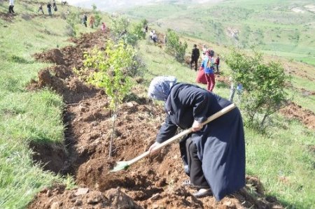 Hami-Yet anneleri, vefat etmiş eşleri için fidan dikti