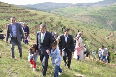 Hami-Yet anneleri, vefat etmiş eşleri için fidan dikti