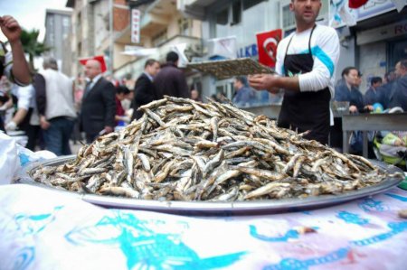 Hamsi Festivali'nde 15 ton hamsi tüketildi